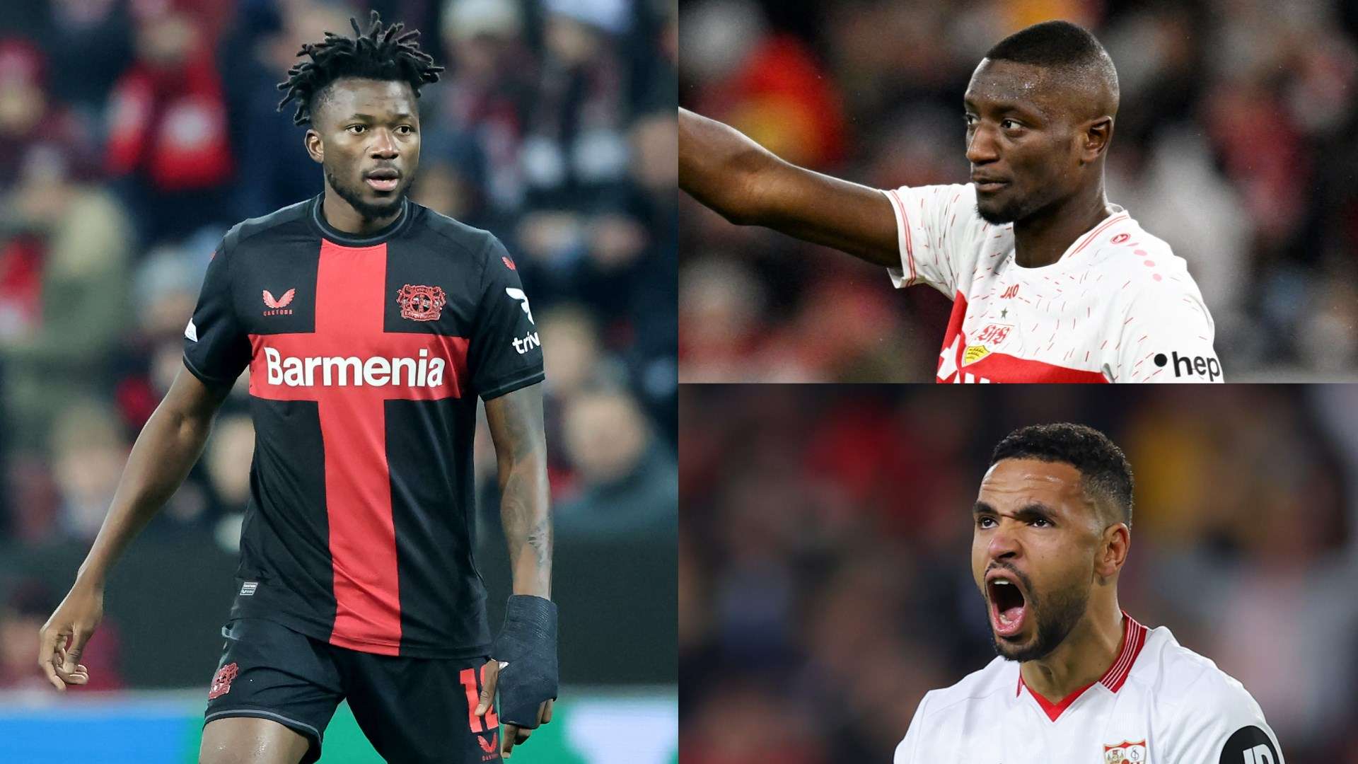 以其豐富的 以其豐富的